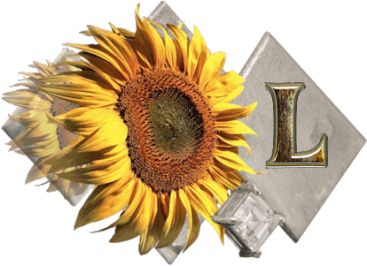 fleur-43459545400000-12.jpg