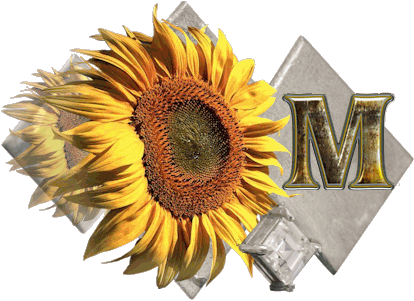 fleur-43459545400000-13.jpg