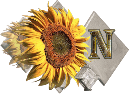 fleur-43459545400000-14.jpg
