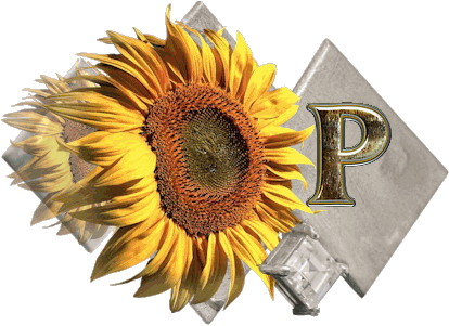 fleur-43459545400000-16.jpg