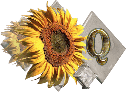 fleur-43459545400000-17.jpg