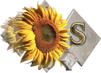 fleur-43459545400000-19.jpg