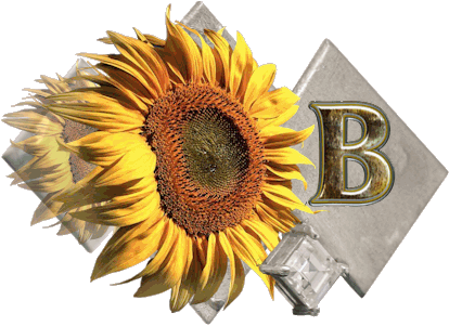 fleur-43459545400000-2.jpg