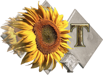 fleur-43459545400000-20.jpg