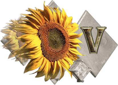 fleur-43459545400000-22.jpg