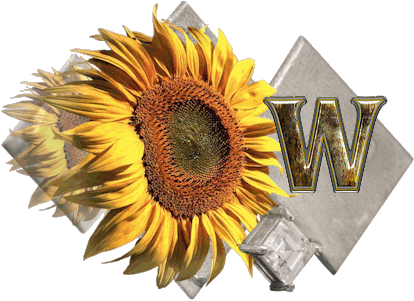 fleur-43459545400000-23.jpg
