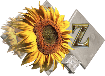 fleur-43459545400000-26.jpg
