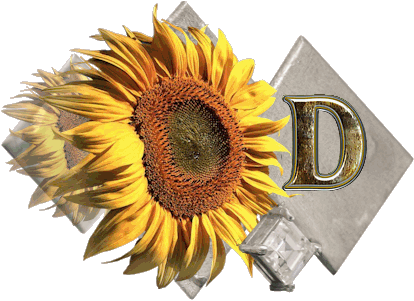 fleur-43459545400000-4.jpg