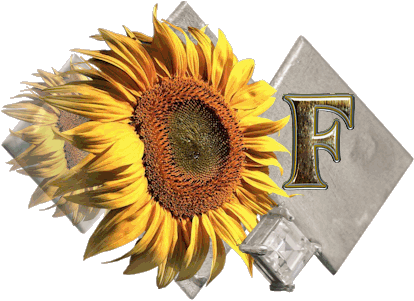 fleur-43459545400000-6.jpg