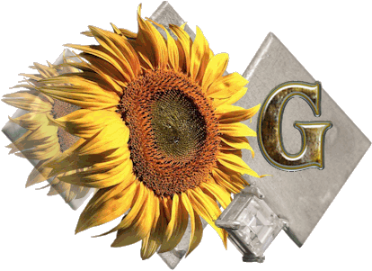 fleur-43459545400000-7.jpg