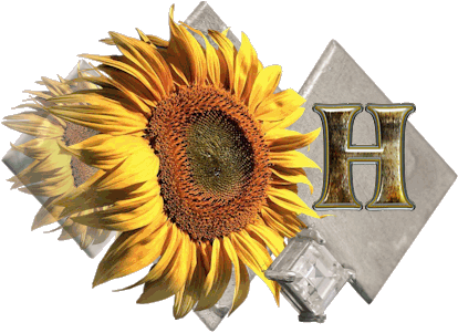 fleur-43459545400000-8.jpg