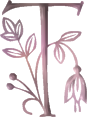 fleur-439re99rt8ty-20.png