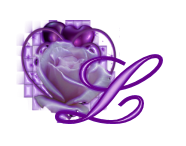 fleur-545406065065-12.jpg