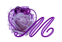 fleur-545406065065-13.jpg