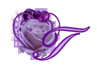 fleur-545406065065-20.jpg