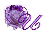 fleur-545406065065-21.jpg
