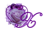 fleur-545406065065-24.jpg