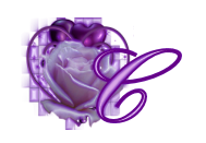 fleur-545406065065-3.jpg