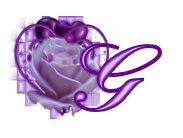 fleur-545406065065-7.jpg