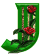 fleur-5549656776776776-10.jpg