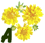 fleur-55545444-1.jpg
