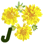 fleur-55545444-10.jpg