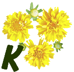 fleur-55545444-11.jpg
