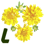fleur-55545444-12.jpg