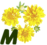 fleur-55545444-13.jpg
