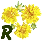 fleur-55545444-18.jpg