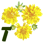fleur-55545444-20.jpg