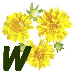 fleur-55545444-23.jpg