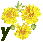 fleur-55545444-25.jpg