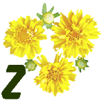 fleur-55545444-26.jpg