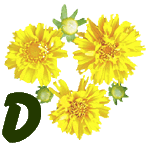 fleur-55545444-4.jpg
