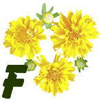 fleur-55545444-6.jpg