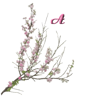 fleur-6556000-1.jpg