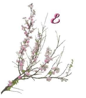 fleur-6556000-5.jpg