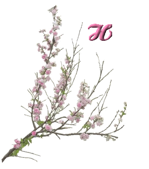 fleur-6556000-8.jpg