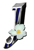 fleur-655665-10.gif