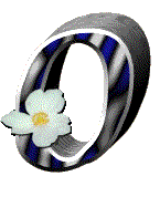 fleur-655665-15.gif