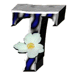 fleur-655665-20.gif