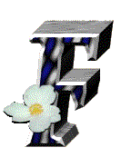 fleur-655665-6.gif