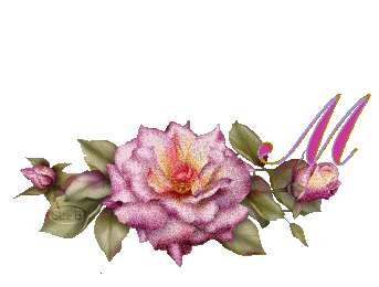 fleur-669954444-13.jpg