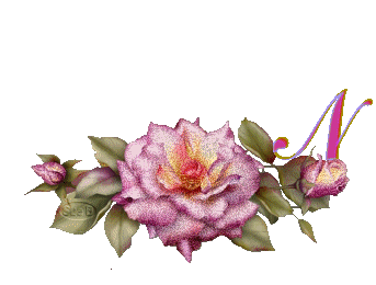 fleur-669954444-14.jpg