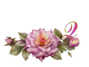 fleur-669954444-17.jpg