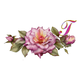 fleur-669954444-20.jpg
