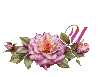 fleur-669954444-21.jpg