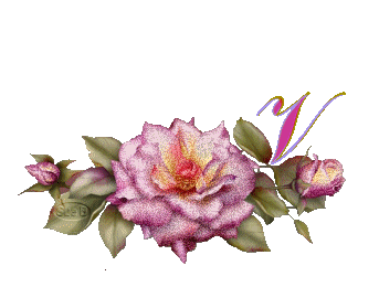 fleur-669954444-22.jpg