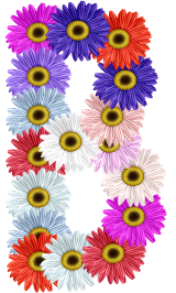 fleur-89956565865856-2.png